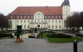 Katzensprung zum Wald